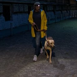 Buy ๐ Automotive Repair Flashlights LED Lenser H7R.2 Rechargeable Headlamp | Adjustable Focus ๐ 13 Buy ๐ Automotive Repair Flashlights LED Lenser H7R.2 Rechargeable Headlamp | Adjustable Focus ๐ -Deals Brightguy Store LED Lenser H7R.2 Rechargeable Headlamp 12