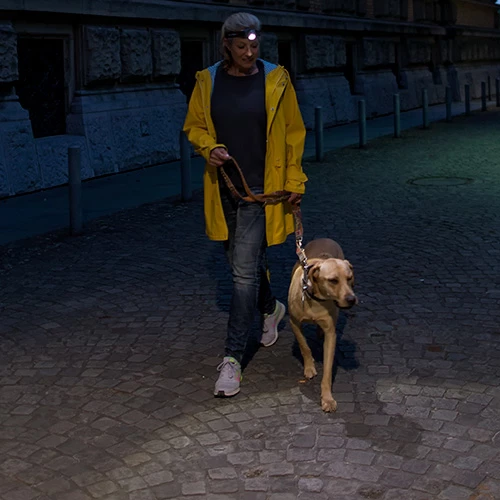 Buy ๐ Automotive Repair Flashlights LED Lenser H7R.2 Rechargeable Headlamp | Adjustable Focus ๐ 8 Buy ๐ Automotive Repair Flashlights LED Lenser H7R.2 Rechargeable Headlamp | Adjustable Focus ๐ - Image 6