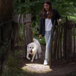 Wholesale 🛒 Boating Flashlights LEDLenser P5R Core Rechargeable Flashlight | Adjustable Focus 😀 -Deals Brightguy Store LED Lenser P5R Core Rechargeable Flashlight 6 600x600 1