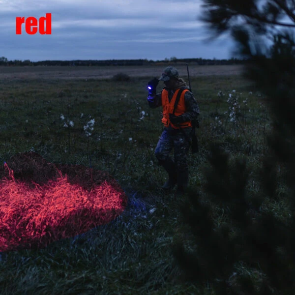 Wholesale ๐ Automotive Repair Flashlights LEDLenser P6R CORE QC 4 Color Flashlight | Authorized Distributor ๐ 4 Wholesale ๐ Automotive Repair Flashlights LEDLenser P6R CORE QC 4 Color Flashlight | Authorized Distributor ๐ - Image 2